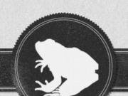The Frog and Nightgown
