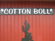 Cotton Boll