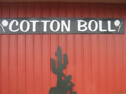 Cotton Boll