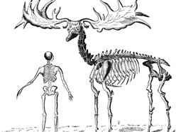 Historical Lancaster Elks Lodge