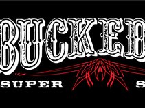 Bucked Up Music Park