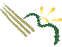 Farm Fresh Studios