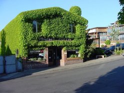 Pegasus Coffee House