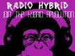 Radio Hybrid