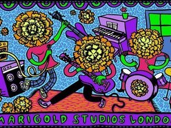 Marigold Studios London
