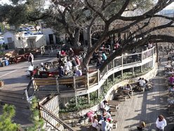 Mozart's Coffee Roasters