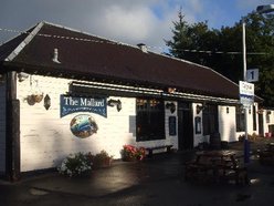 The Mallard