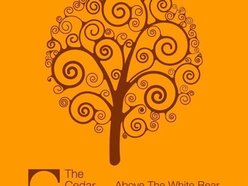 The Cedar Room